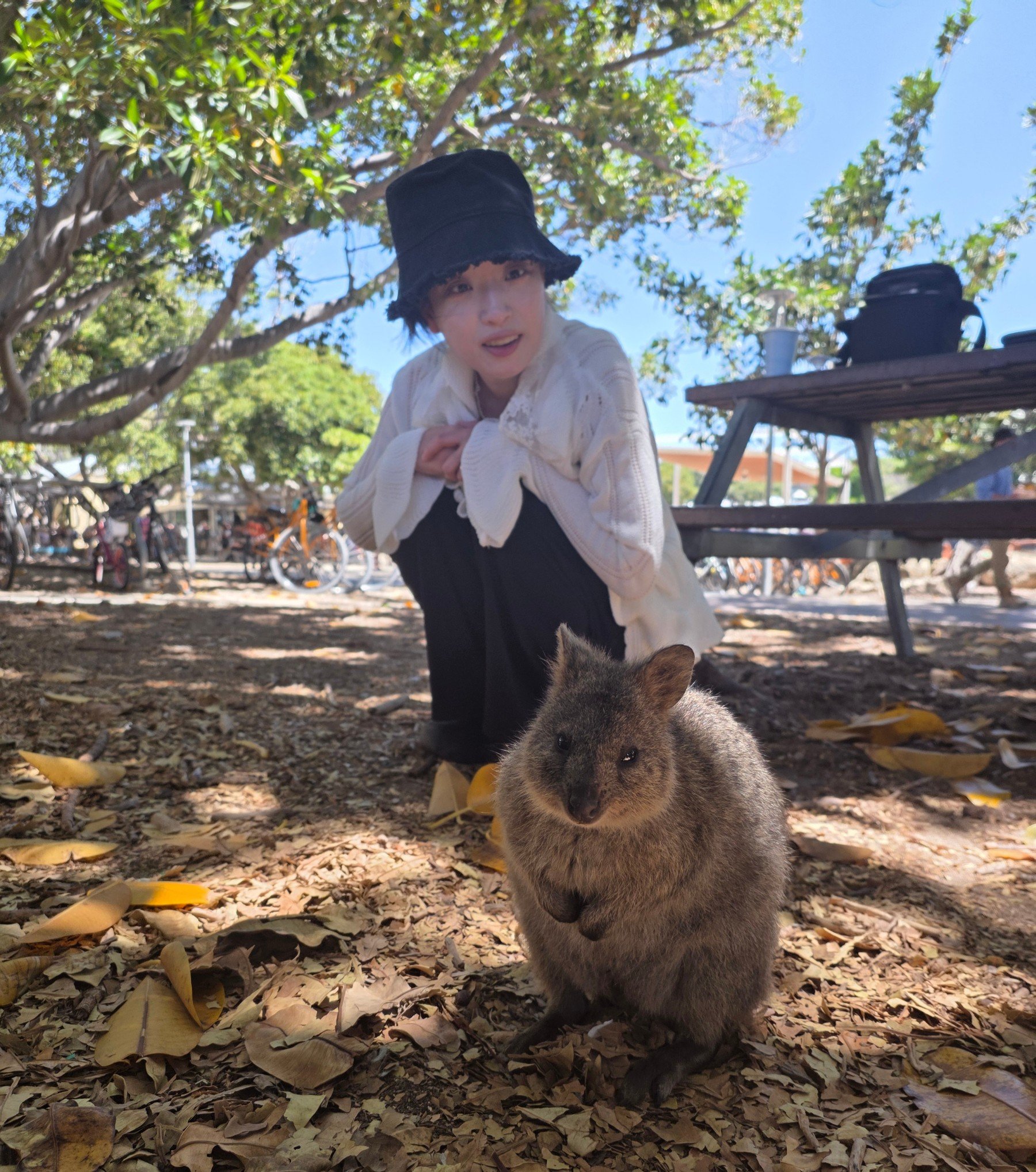 me with a quokka in Australia